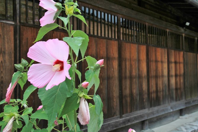 Private Transfer Kanazawa to Takayama Including Shirakawago - Exploring the UNESCO Site of Shirakawa-go