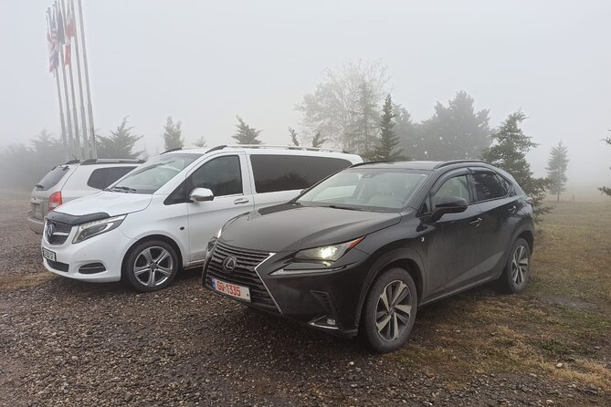 Private Transfers From Tbilisi Airport to Any Desired Destination - Explore Tbilisi and Beyond