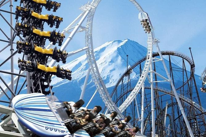 Private Transport Mt Fuji and Hakone 1 Day Trip - Discovering Hakone