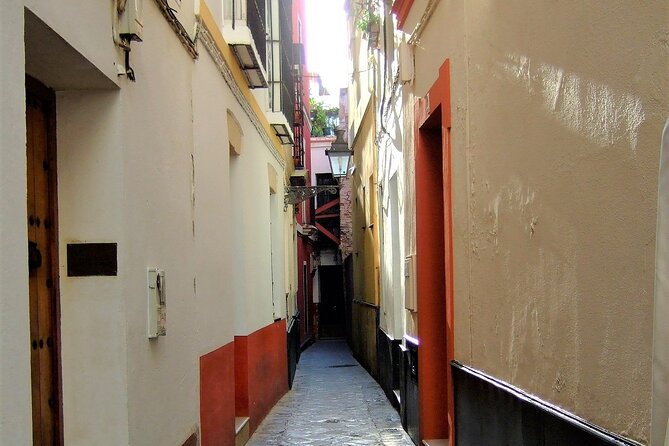 Private Trip to Seville From Costa Del Sol - Additional Information and Recommendations