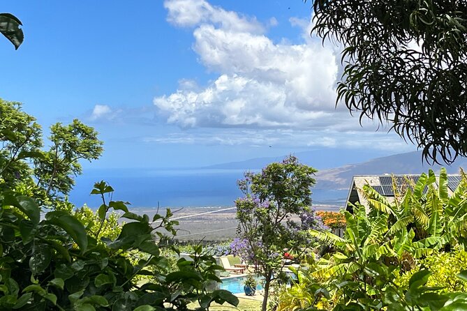 Private Upcountry Farm Tour on Maui - Special Tips for Your Tour