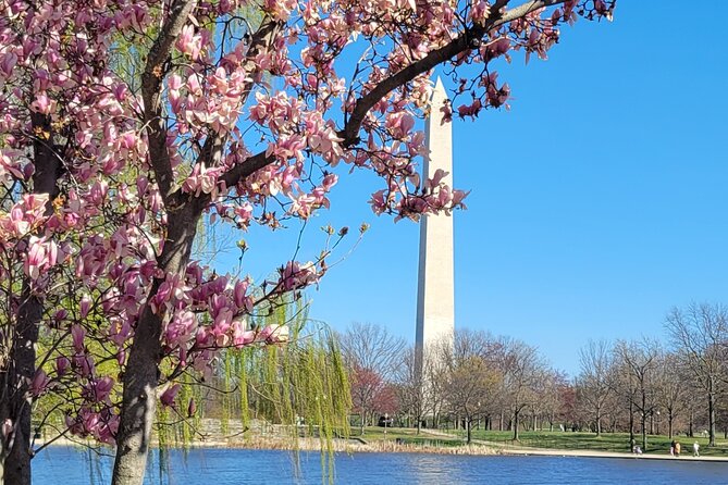 Private Washington DC Tour With Changing of the Guard Ceremony - Highly Rated Tour Guides