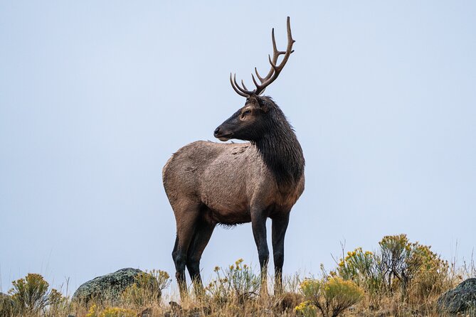 Private Wildlife Photography Tour Review - Tour Guide Expertise
