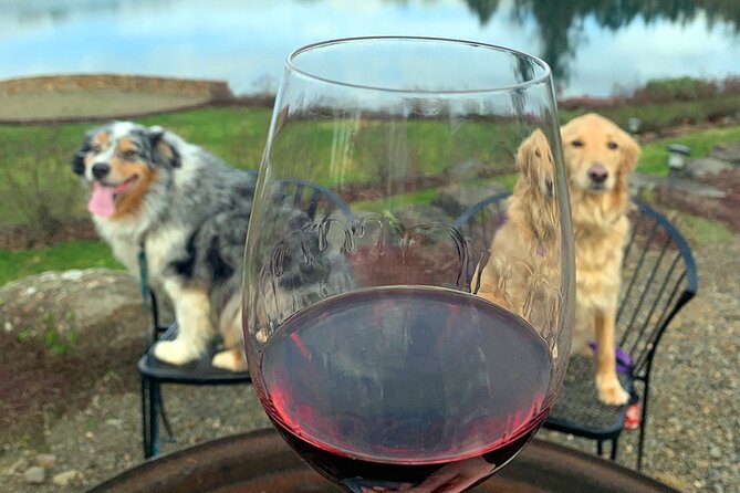 Private Wine Excursion Willamette Valley, Oregon - Wine Tour - Winery Experiences