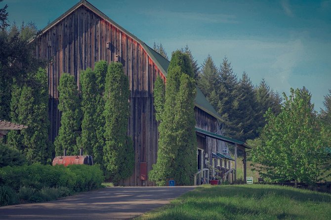 Private Wine Tour With Local Sommelier Review - Health and Accessibility Considerations
