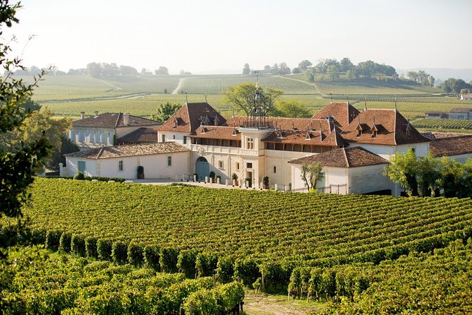 Private Wine Trip to Saint-Emilion Aboard Vintage French Presidential Car - Tips for an Enjoyable Visit