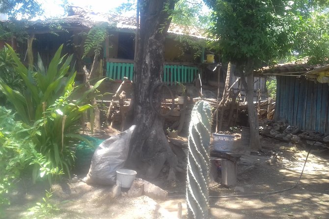 Private Xihuacan Archaeological Tour - Customer Reviews