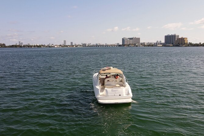Private Yacht Rental Miami, Customizable Tours, Dolphin Watching - Dolphin Watching Experience