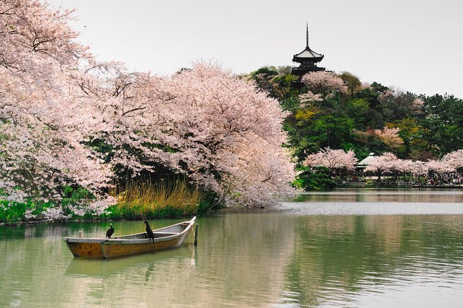 Private Yokohama Family Tours With Local Guides 100% Personalized - Flexible Booking and Cancellation Policy