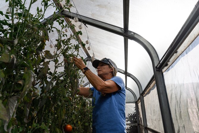 Pueo Farm Private Tour - Upcountry Maui Hawaii - What to Expect During the Tour