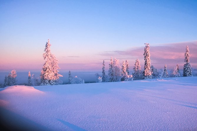 Pyhä-Luosto National Park and Amethyst Mine by Car From Inari-Saariselkä - Accessibility and Special Requests