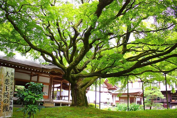 Raizansennyoji Futamigauras Couple Stones Day Tour From Fukuoka - The Futamigaura Couple Stones