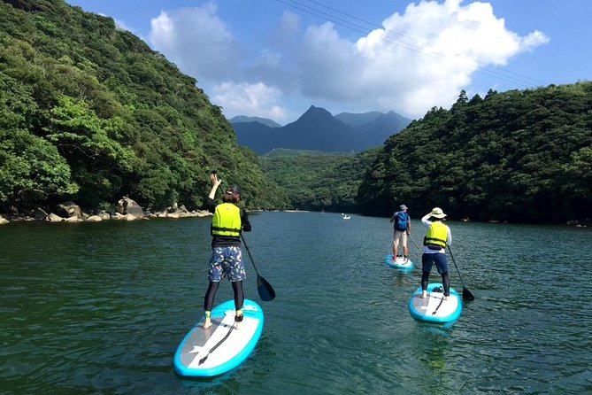 [Recommended on Arrival Date or Before Leaving! ] Relaxing and Relaxing Water Walk Awakawa River SUP [Half Afternoon Tour] - Booking Information