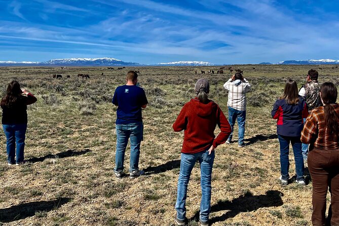 Red Canyon Small Group Wild Mustang Van Tours in Cody Wyoming - Ideal Audience for the Tour