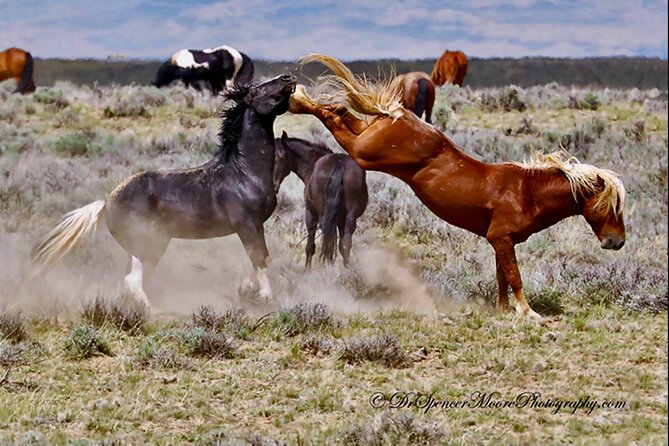 Red Canyon's Best Of The Wild West Wild Mustang+Rafting Adventure - Safety and Equipment