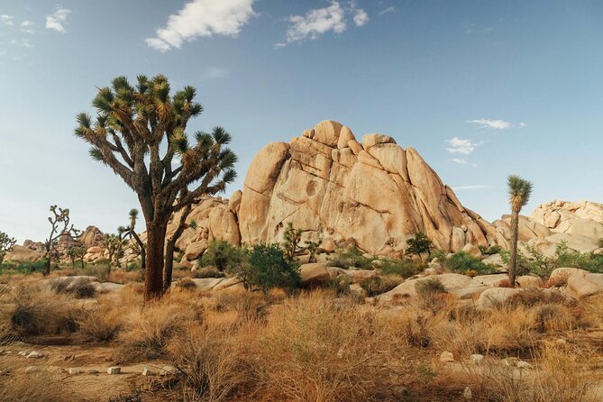 Red Rock Canyon & Calico Basin Self Guided Audio Tour - Pricing and Group Size