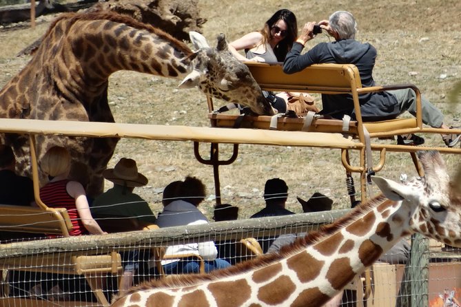 Redwoods and Wild Safari Adventure Review - Frequently Asked Questions