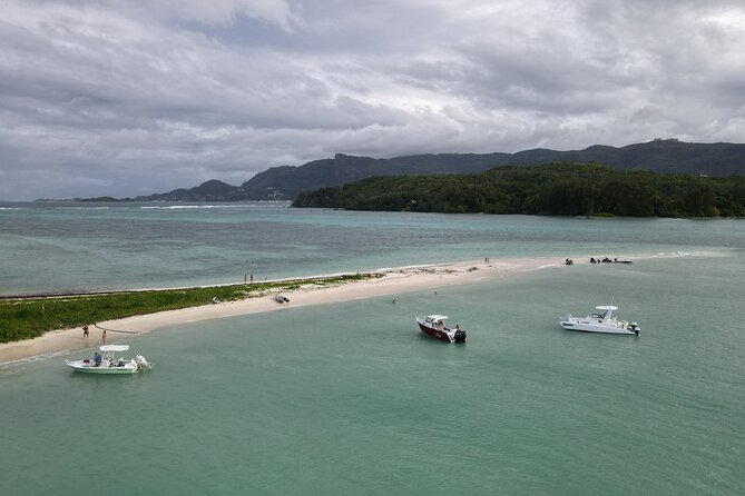 Reef Safari - Snorkeling, Fish Feeding & Lunch (Private Day Trip) - Flexibility and Cancellation Options