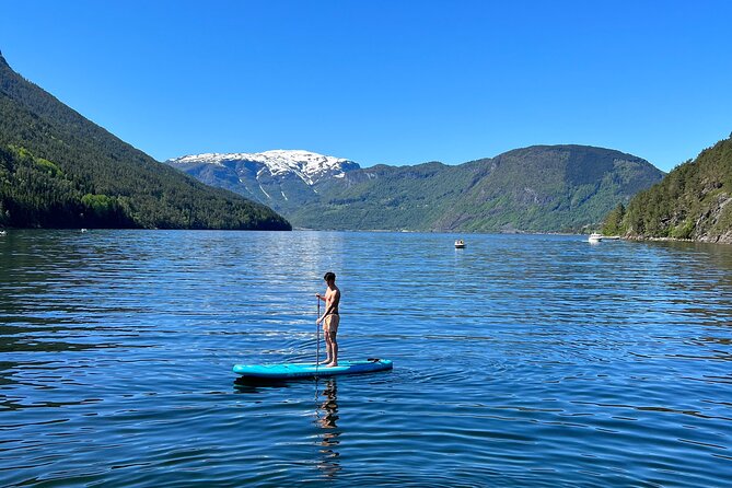 Renting SUP Boards (Paddle Boards) - Customer Reviews and Feedback