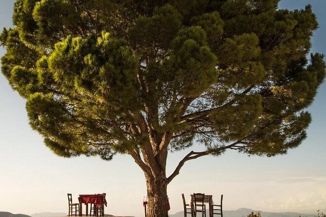Rethymno Luxury Jeep Tour in Cretan Viniculture and Olive Farming - Booking and Flexibility Options