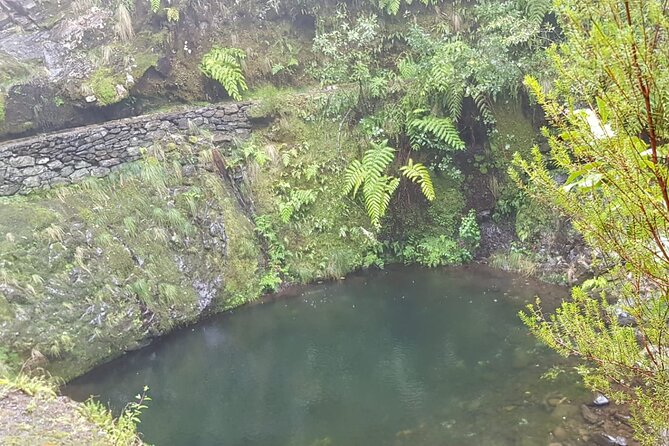 Ribeiro Frio - Portela (Full Day Walk) - Ask Away