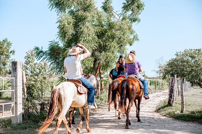River Trail Horseback Riding Adventure - Nearby Attractions and Activities