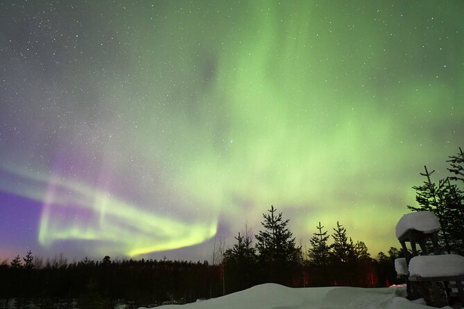 Rovaniemi: Private Aurora Hunting Tour - Booking Information