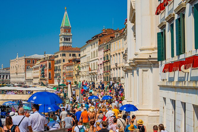 Rovinj to Venice Day Trip by High-Speed Catamaran - Tips for a Great Experience