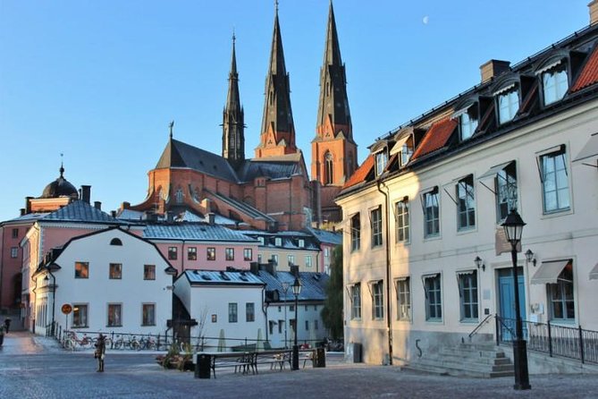 ROYAL Uppsala and VIKING Sigtuna PRIVATE Tour - Guide Feedback