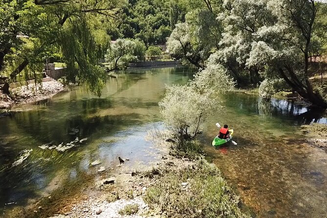 Safari Kayak Adventure W BBQ & Beer - Wildlife and Scenery