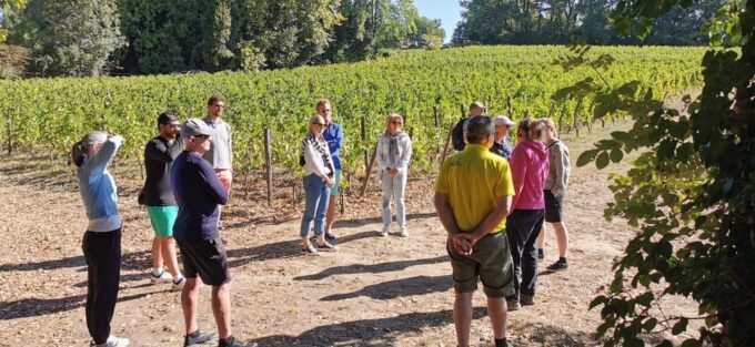 Saint-Émilion E-Bike Tour: Lunch, 2 Tastings & Transfers - Booking Information