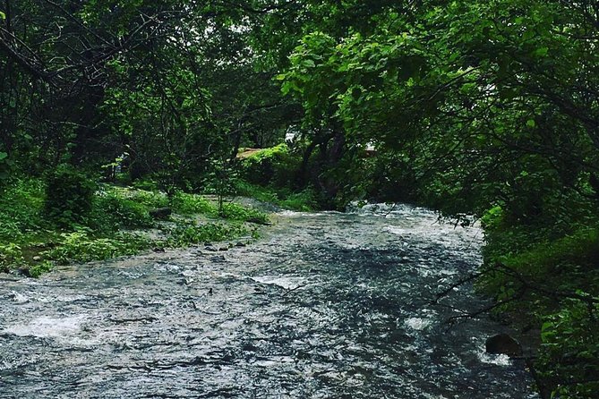 Salalah Mountain Safari Tour 2(Full Day Tour) - Booking Details
