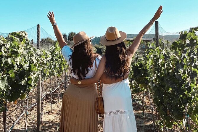 San Diego >>Valley of Guadalupe/Four Fours/Sky Vineyard - Exploring the Valley of Guadalupe, Four Fours, and Sky Vineyard