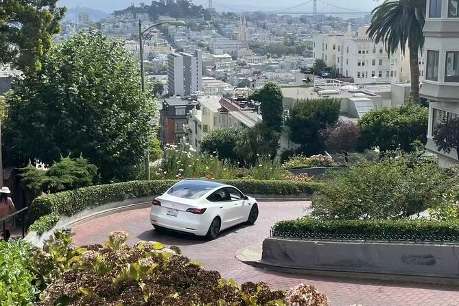 San Francisco Private English Guided, Full-Day Sightseeing Tour - Accessibility and Requirements