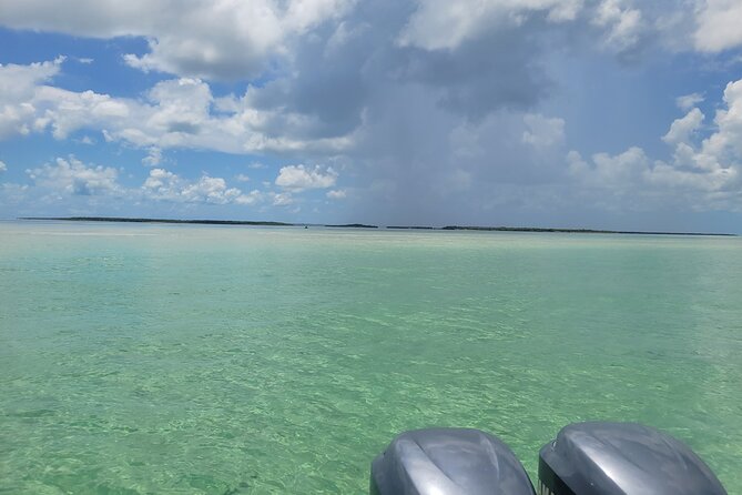 Sandbar Adventure Review: A Key West Experience - Questions About Your Stay