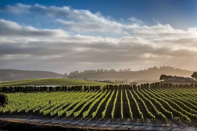 Santa Barbara Wine Country Vineyard & Village Tour - Exploring Historic Villages