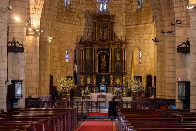 Santo Domingo: Full-Day Cultural VIP Tour of Santo Domingo City - Why Choose This Tour