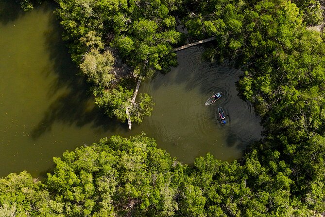 Sarasota Clear Kayak Tour - Frequently Asked Questions