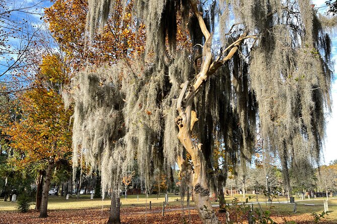 Savannah Self Guided Ghost Tour - Host Support and Solutions