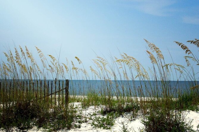 Scenic A1A Byway Self Guided Driving Audio Tour - Preparation Tips