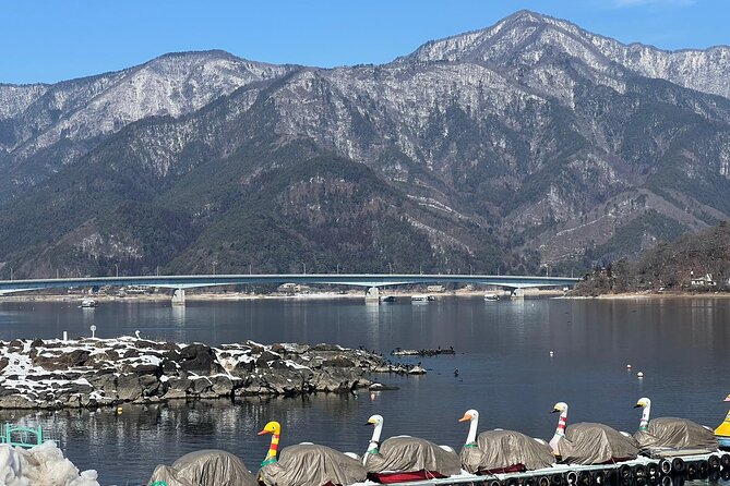 Scenic Day Tour of Hakone and Mount Fuji Private Tour (English) - Discovering Mount Fuji