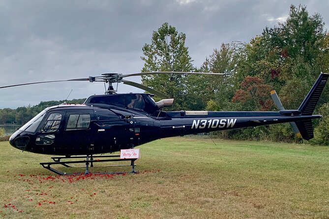 Scenic Lakeside Proposal Helicopter Review - The Sum Up