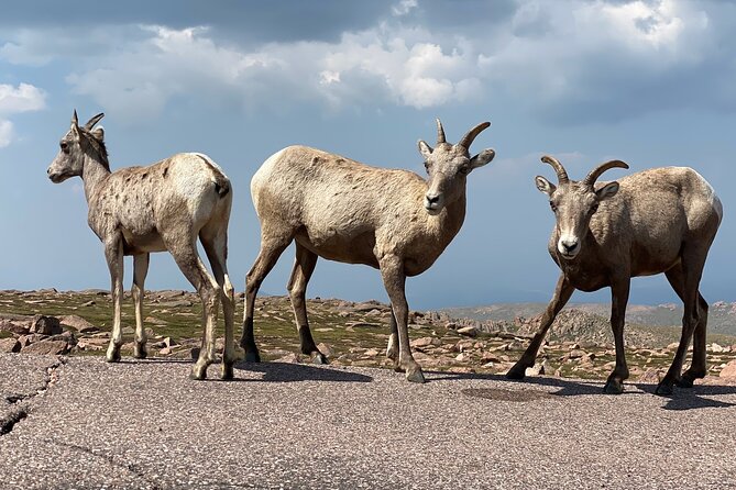 Scenic Tour of the Pikes Peak Highway - Inclusions and Logistical Details