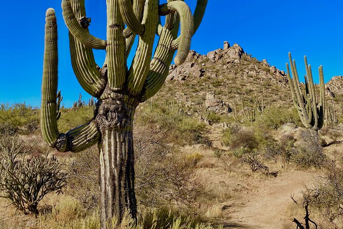 Scottsdale Desert Classic Guided Hiking Adventure - Tailored Hiking Adventures
