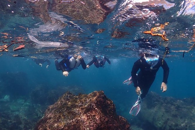 Scuba Diving & Snorkeling - Making the Most of Your Scuba Diving and Snorkeling Adventure