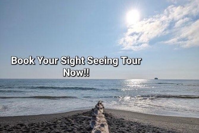Seattle Scenic Tours & Wine Rides (Hourly) - Customer Reviews