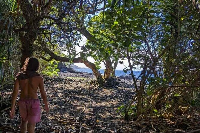 Secret Jungle Tide Pool Hike - Private - Ecosystem Education