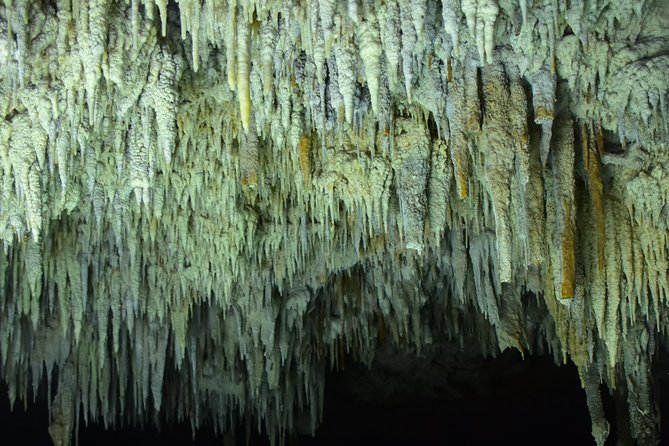 Secret River Playa Del Carmen - Tips for a Great Visit