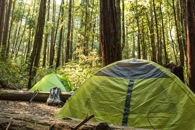 Self Guided Driving Audio Tour of Redwood National and State Park - Preparing for Your Self-Guided Adventure