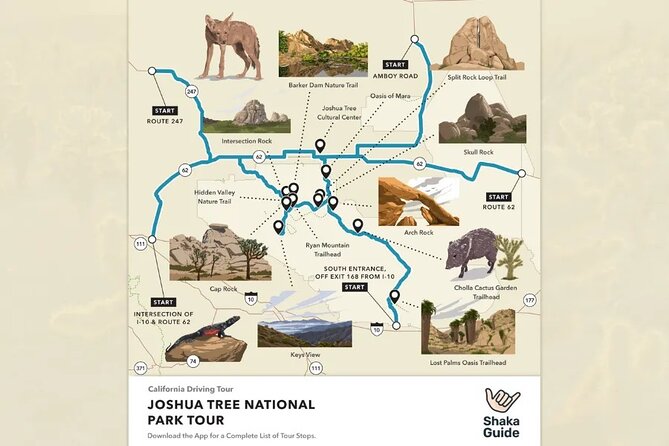 Self Guided Joshua Tree Tour Review - Frequently Asked Questions